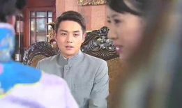 桃花劫电视剧,爱恨情仇，命运轮回