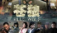 苍狼电视剧演员表,实力派演员阵容演绎热血传奇