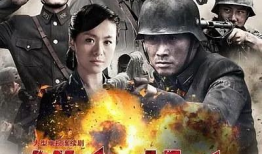电视剧铁血壮士,烽火岁月里的英雄传奇