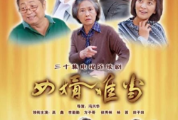女婿难当电视剧,笑谈家庭风云，解码现代婚恋难题