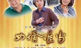 女婿难当电视剧,笑谈家庭风云，解码现代婚恋难题