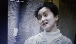 涉外保姆 电视剧,跨国育儿情缘