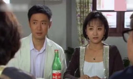 女婿难当电视剧,笑谈家庭风云，解码现代婚恋难题