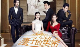 妻子的秘密电视剧全集在线观看,揭秘婚姻背后的惊人真相