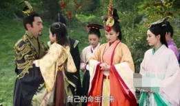 芈月传电视剧剧情介绍,宫廷权谋与女性崛起的传奇之旅