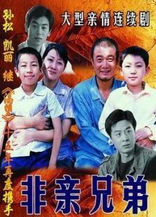 毛家三兄弟电视剧剧情,烽火岁月，兄弟情深，共筑革命伟业